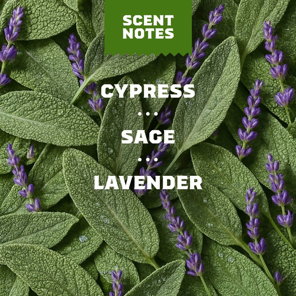 Alpine Sage Deodorant