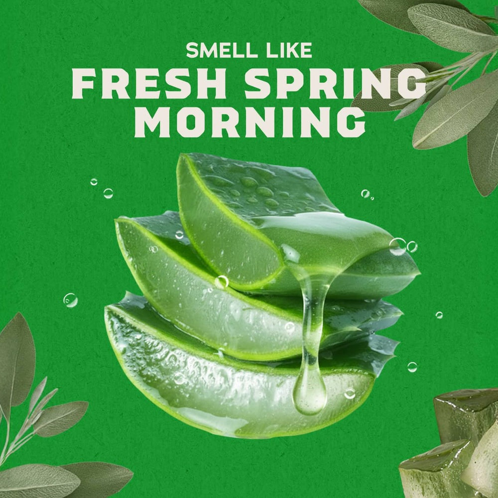 Cool Fresh Aloe