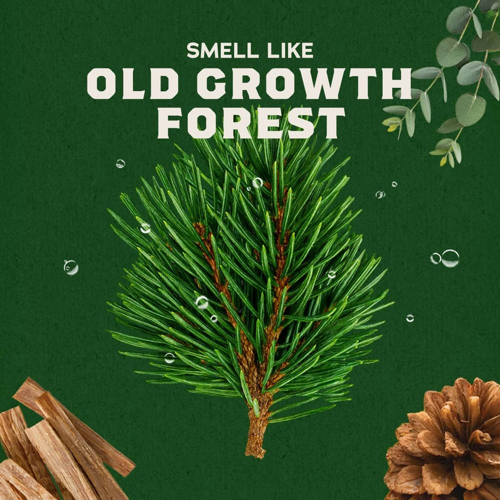 Conditioning Beard Oil & Cologne Woodland Pine