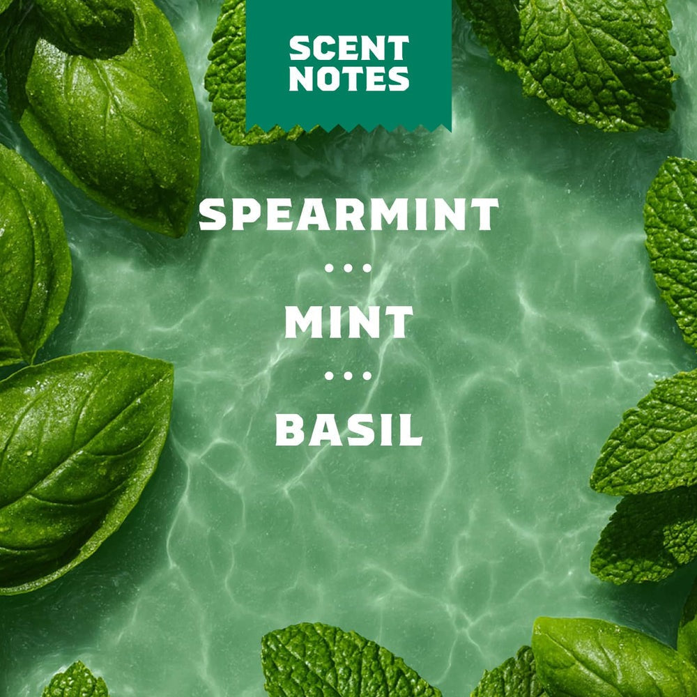 Spearmint Basil