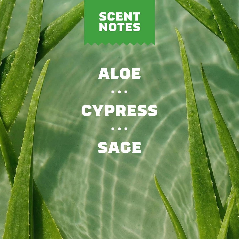Cool Fresh Aloe Conditioner