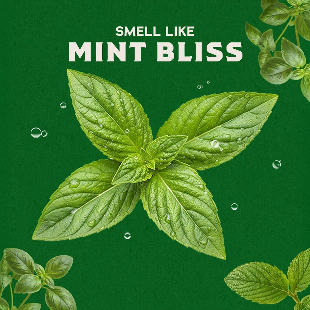 Spearmint Basil
